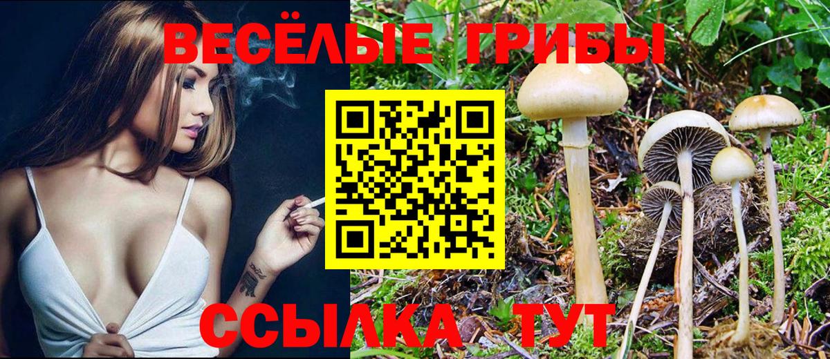Галлюциногенные грибы прущие грибы  Псилоцибиновые грибы ЛСД  Воркута  Вход с VPN 